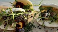 Le mois d'octobre rimera avec gourmandise à Saint Jean de Luz
